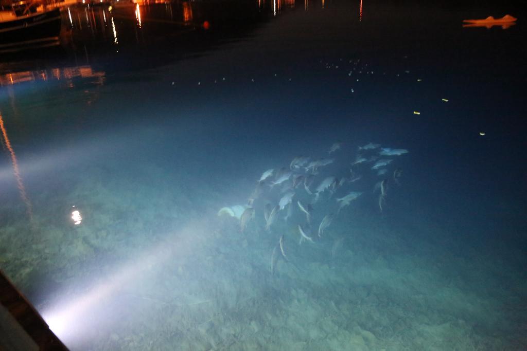 Dolphin Hotel Selimiye  Bagian luar foto